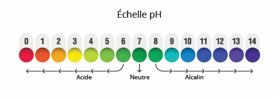 Échelle de pH