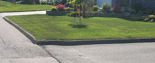 Pelouse verte bleutée lors d'une canicule